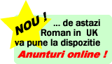 Anunturi online !
